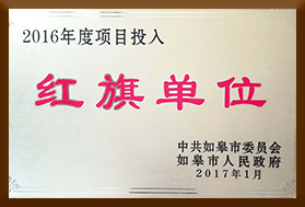 2016年度项目投入红旗单位