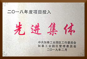 2018年度项目投入先进集体