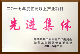 2017年度亿元以上产业项目先进集体